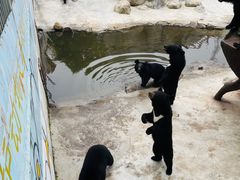 -青峰峡国家森林公园