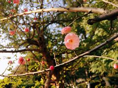 -白塘生态植物园