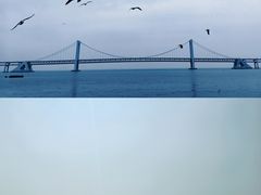 -星海广场