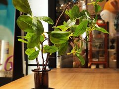 -代数学家algebraist(诚品店)