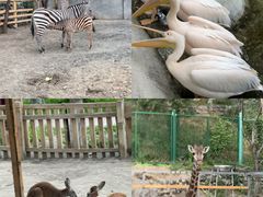 -水上乐园·欢乐世界