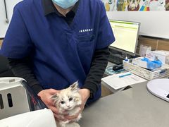 -爱侣宠医·鹦鹉专科·小型哺乳类·异宠专科(灵石路店)