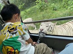 -西安秦岭野生动物园