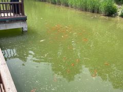 -河北省园博园