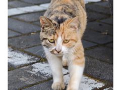 -姥家大锅台水库渔家