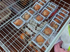 -蓝湾碧波·老字号·疍家非遗海上餐厅