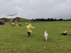 -玉湖村