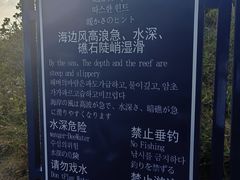 -广东惠东海龟国家级自然保护区