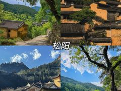 -杨家堂村