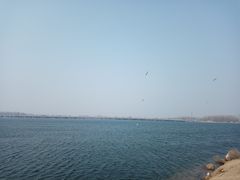 -丁香湖公园