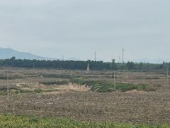 -小赖鱼馆