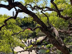 -江心屿景区