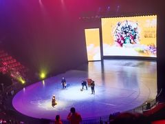 -重庆国际马戏城