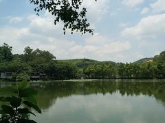 -美丽南方·老木棉匠园·团建烧烤·烤全羊