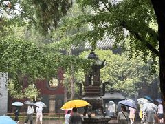 -洛阳白马寺