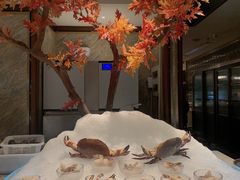 -半岛翡丽海鲜自助餐厅(观风亭店)