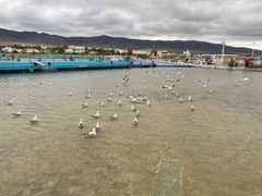 -青海湖国家重点风景名胜区