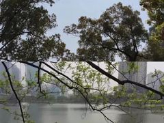 -西北湖绿化广场