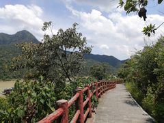 -羚羊峡古栈道森林公园