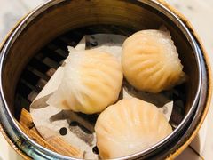 -糖朝(尖沙咀店)