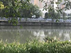 -成都市活水公园