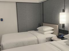 -新加坡乌节希尔顿酒店 (SG Clean)