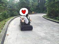 -圣淘沙天际线斜坡滑车