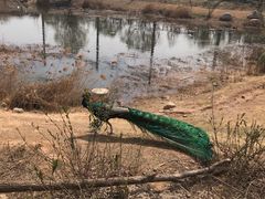 -淇河国家湿地公园