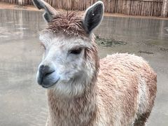 -杭州野生动物世界