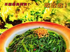 -泰妃殿(宏伊国际广场店)