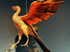 -自贡恐龙博物馆