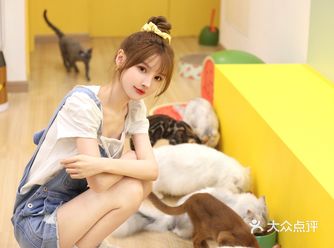 打卡利路修同款猫咖 | 仙人掌撸猫体验馆 未卡猫空间