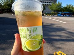 -长春堂顺时而饮(前门店)