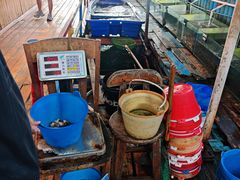 -蓝湾碧波·老字号·疍家非遗海上餐厅