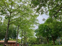 -顺峰山公园