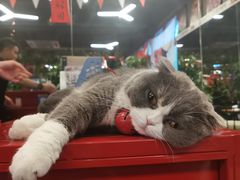 -KingBull私教健身&格斗订制(龙井商业中心店)