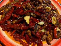 -柴窝堡22号辣子鸡·传承新疆菜