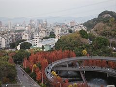 -福道