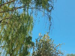 -海棠花溪(元大都城垣遗址公园)
