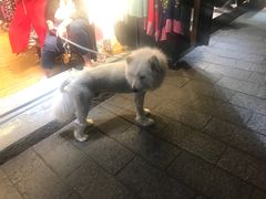 -阿鹏故事云南野生菌火锅(人民路店)
