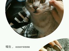 -康成宠物医院24H·CT·核磁共振