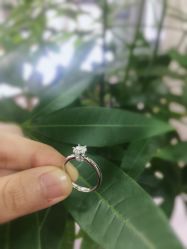 -威德钻石-克拉钻大本营(南京东路店)