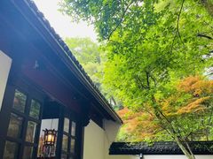 -杭州黄龙洞