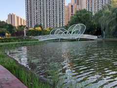 -仙女湖公园