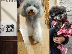 -沏点Trattoria意大利餐厅(新街口店)