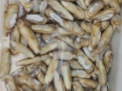 -宾朋海鲜特色美食餐厅·纯手工鲅鱼水饺(兴海路店)