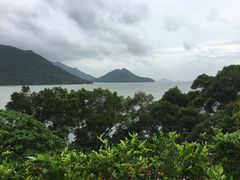 -大澳