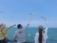 -悦海公园