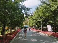 -长白岛森林公园