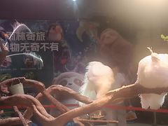 -正佳雨林生态植物园